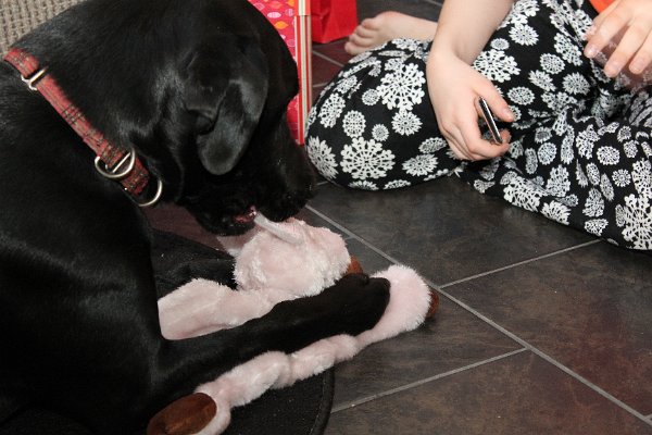 New Camera Dec2010 042